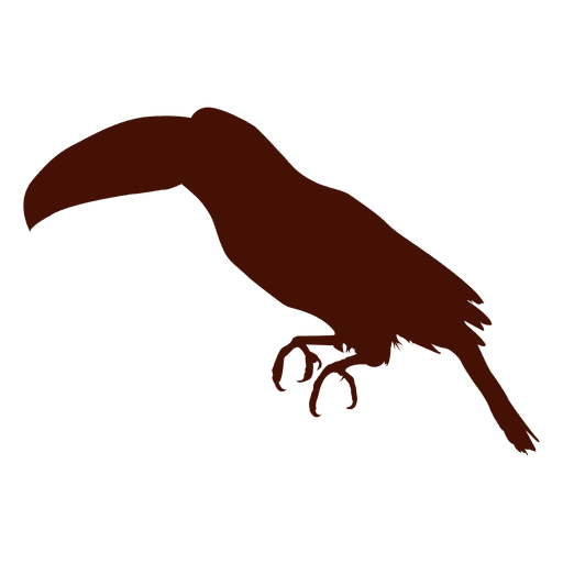 Silhueta do pássaro tucano Desenho PNG