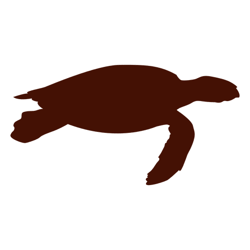 Silhueta de tartaruga Desenho PNG