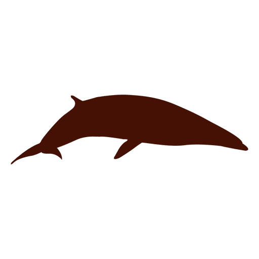 Common Minke Whale silhouette PNG Design