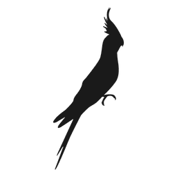 Silueta de cockatiel Diseño PNG