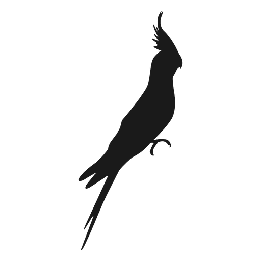 Nymphensittich Silhouette PNG-Design
