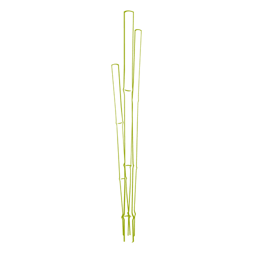 Plantas de bambú Diseño PNG