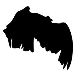 Sequência 1 do vôo do pássaro Desenho PNG
