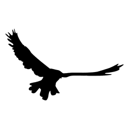 Sequência de vôo de pássaro 10 Desenho PNG
