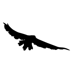 Sequência 11 de voo de pássaro Desenho PNG
