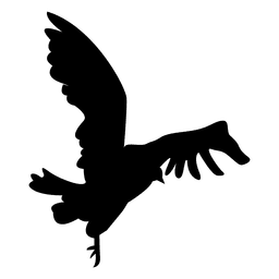 Sequência de vôo de pássaro 3 Desenho PNG