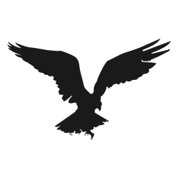 Eagle bird flying silhouette PNG Design