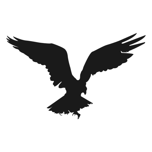 Águila pájaro volando silueta Diseño PNG