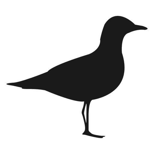 Silueta de pájaro 1 Diseño PNG