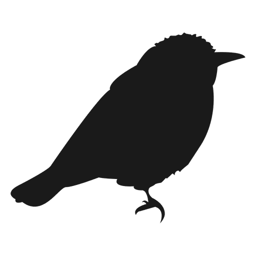 Silhueta de pássaro 3 Desenho PNG