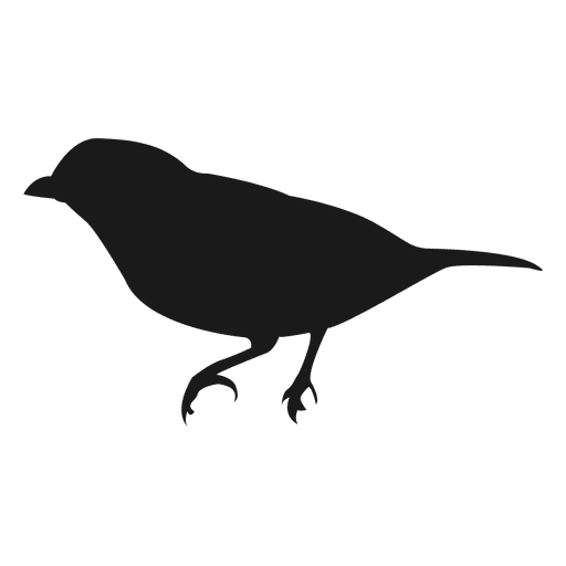 Silhueta de pássaro 4 Desenho PNG