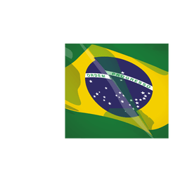 Bandeira Redonda Do Brasil Baixar Png Svg Transparente