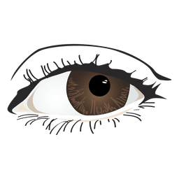 Olho de mulher castanho Desenho PNG