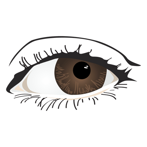 Brown woman eye PNG Design