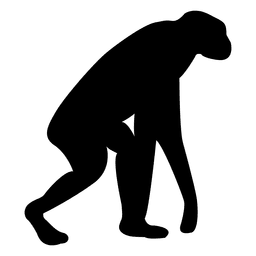 Evolução do empresário Desenho PNG