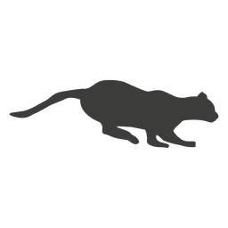 Cat running sequence Transparent PNG