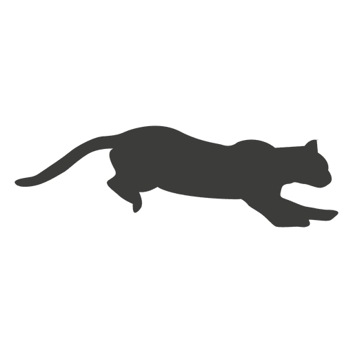 Katzenlaufsequenz 1 PNG-Design