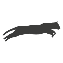 Sequência 12 de corrida do gato Desenho PNG