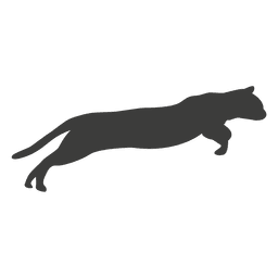 Cat running sequence 13 PNG Design