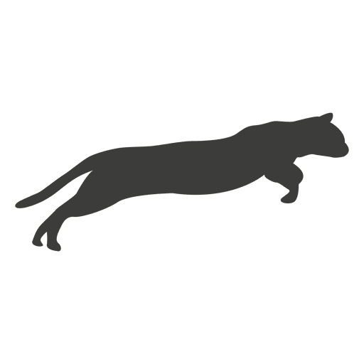 Katzenlaufsequenz 13 PNG-Design