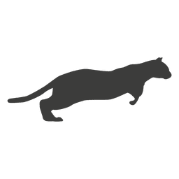 Cat running sequence 14 Transparent PNG