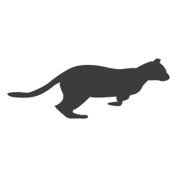 Cat running sequence 15 Transparent PNG