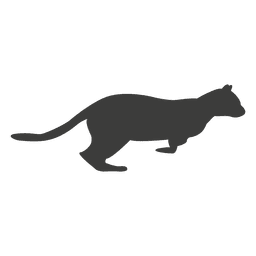 Sequência de corrida 15 do gato Desenho PNG