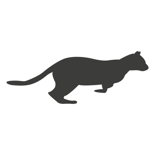 Katzenlaufsequenz 15 PNG-Design