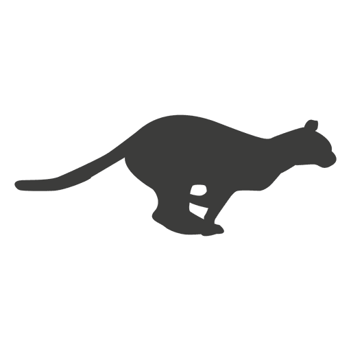 Cat running sequence 16 PNG Design