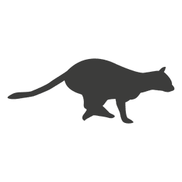 Secuencia de funcionamiento del gato 17 Diseño PNG