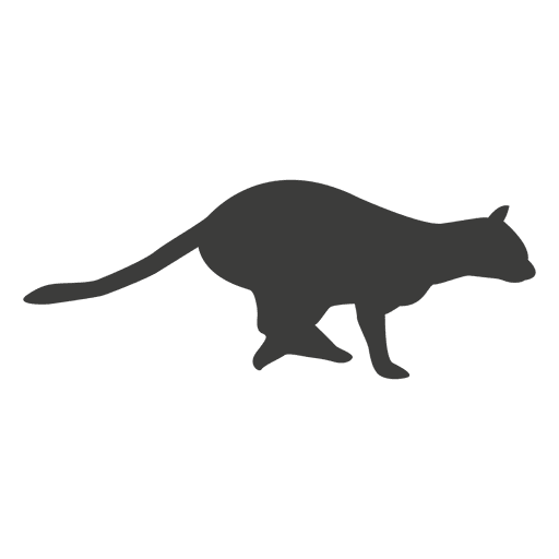 Cat running sequence 17 PNG Design