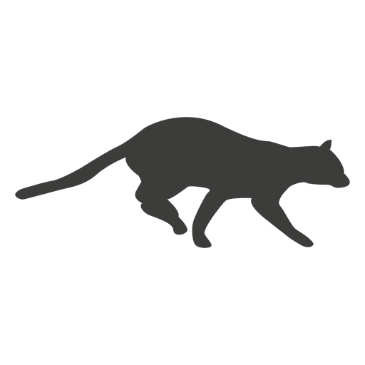 Katzenlaufsequenz 18 PNG-Design