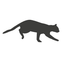 Cat Running Sequence 19 PNG & SVG Design For T-Shirts