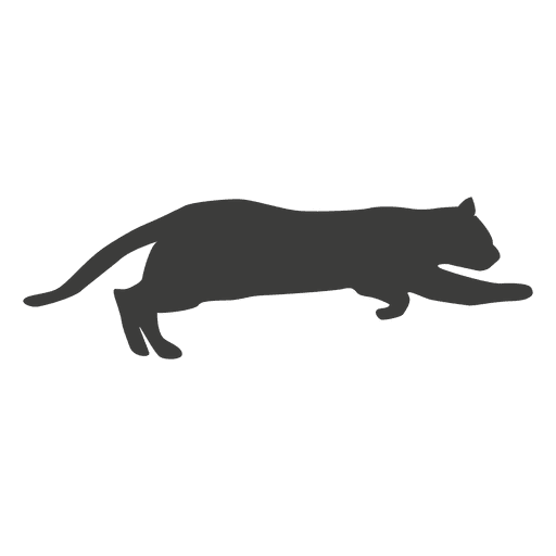 Katzenlaufsequenz 3 PNG-Design