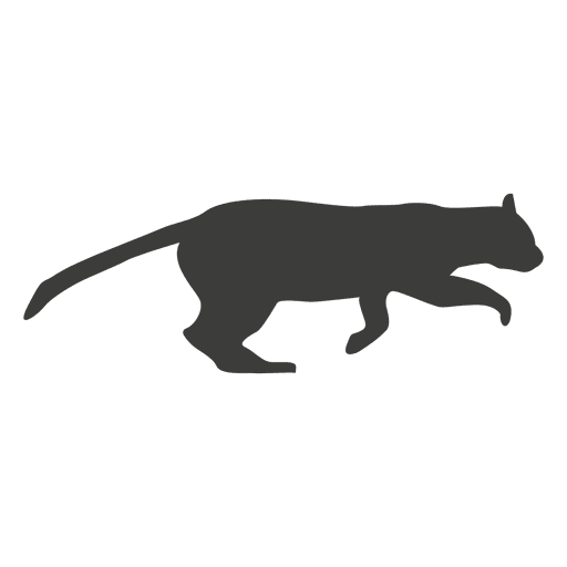 Cat running sequence 4 PNG Design