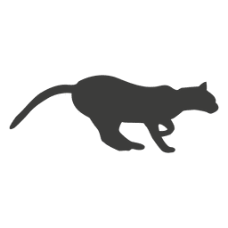 Sequência 5 de corrida do gato Desenho PNG