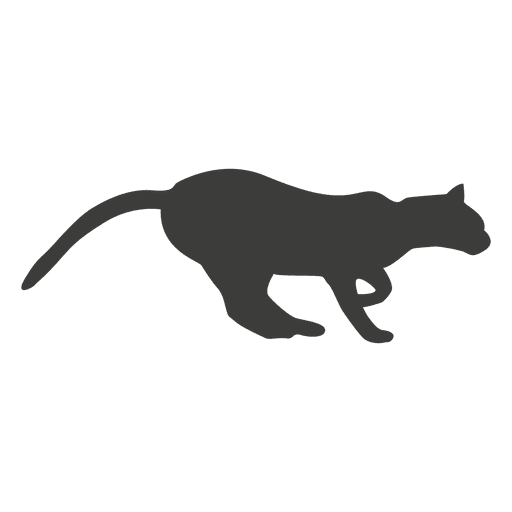 Katzenlaufsequenz 5 PNG-Design