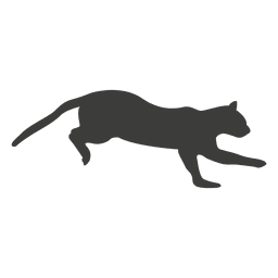 Cat running sequence 8 Transparent PNG