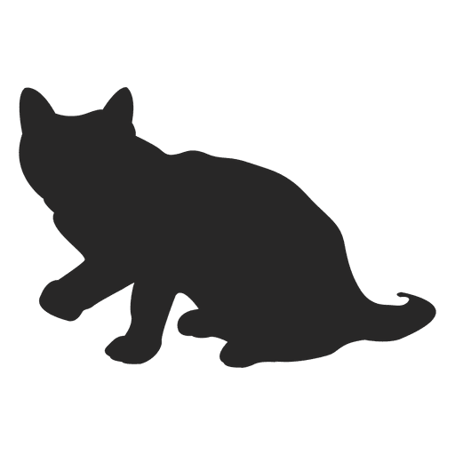 Gato sentado Desenho PNG