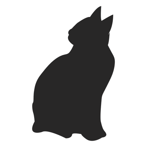 Download Cat Sitting 1 Transparent Png Svg Vector File PSD Mockup Templates