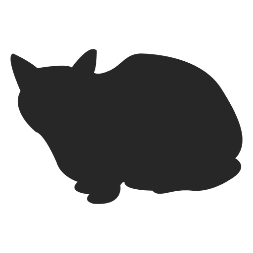 Cat sitting down PNG Design