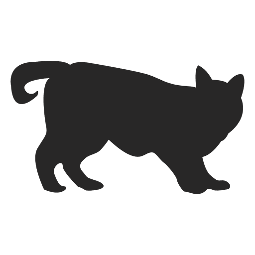 Cat taunting PNG Design