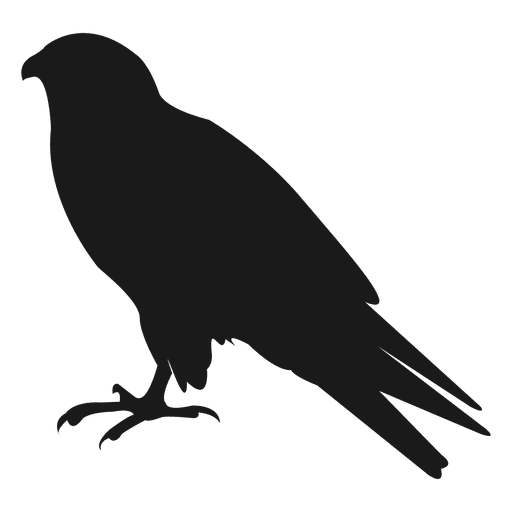 Silhueta de corvo Desenho PNG