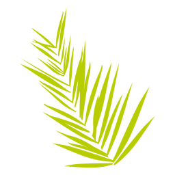 Datum Farn PNG-Design