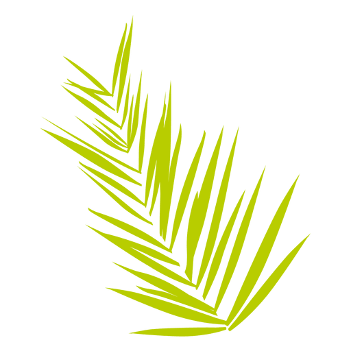 Date fern PNG Design
