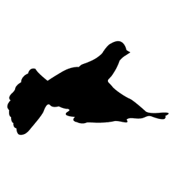 Taubenflugsequenz 1 PNG-Design