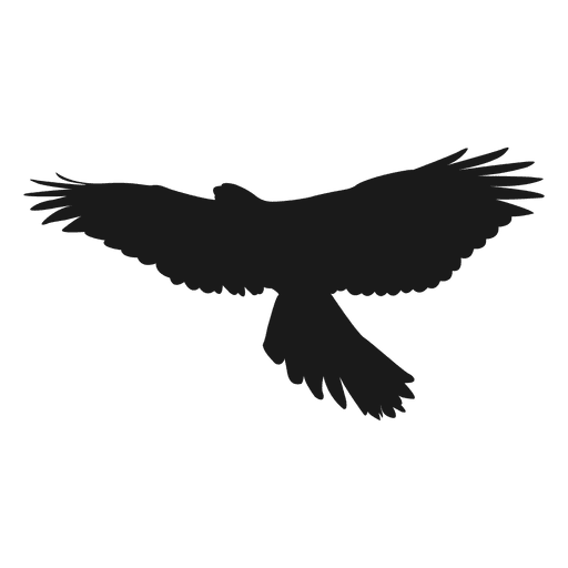 Eagle silhouette PNG Design