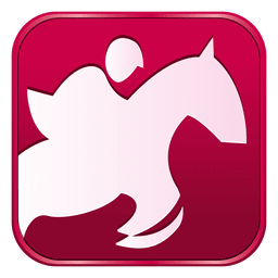 Equestrian square icon Equestrian square icon
