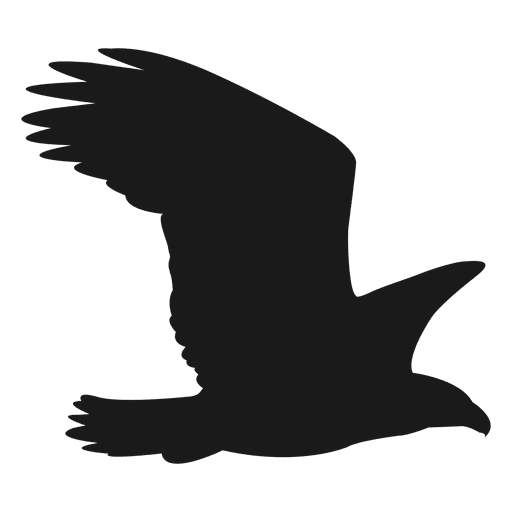 Falcon silhouette PNG Design