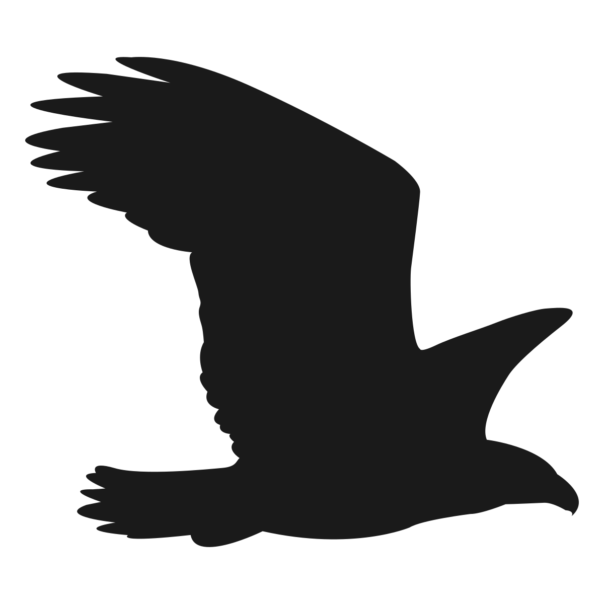 Desenhos de Falcao Para Colorir e Imprimir - Pintar Grátis Online, image size:1200x1200